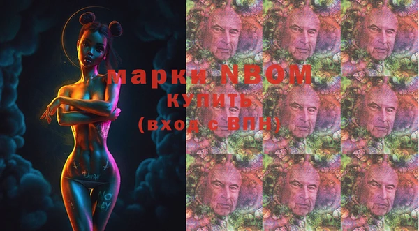 стаф Алексин