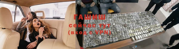стаф Алексин