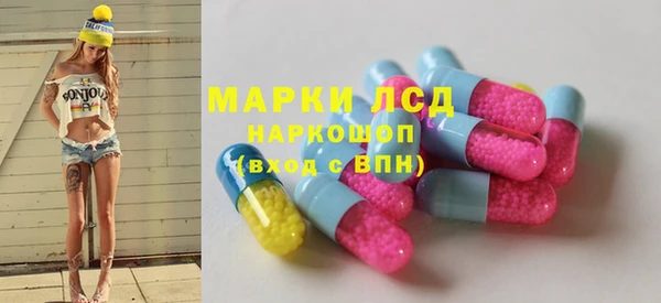 стаф Алексин