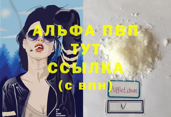 стаф Алексин