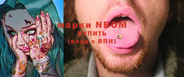 стаф Алексин