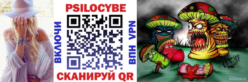 Псилоцибиновые грибы Psilocybe  Балашиха 